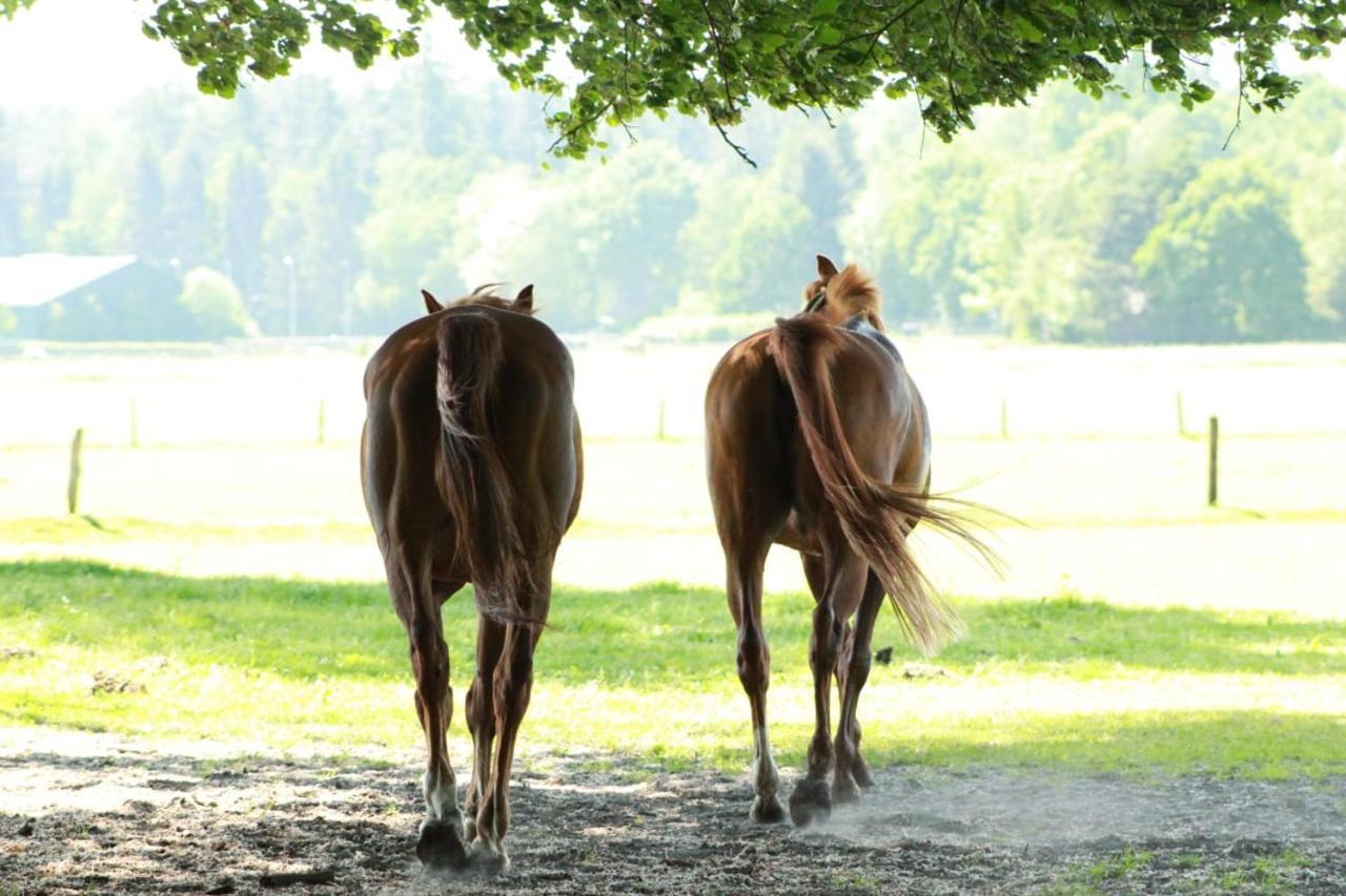 Boerderij De Enkhoeve Laag-Soeren Exterior foto